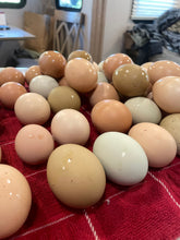 Load image into Gallery viewer, 1 dozen Hill Country Pasture Eggs--Rainbow
